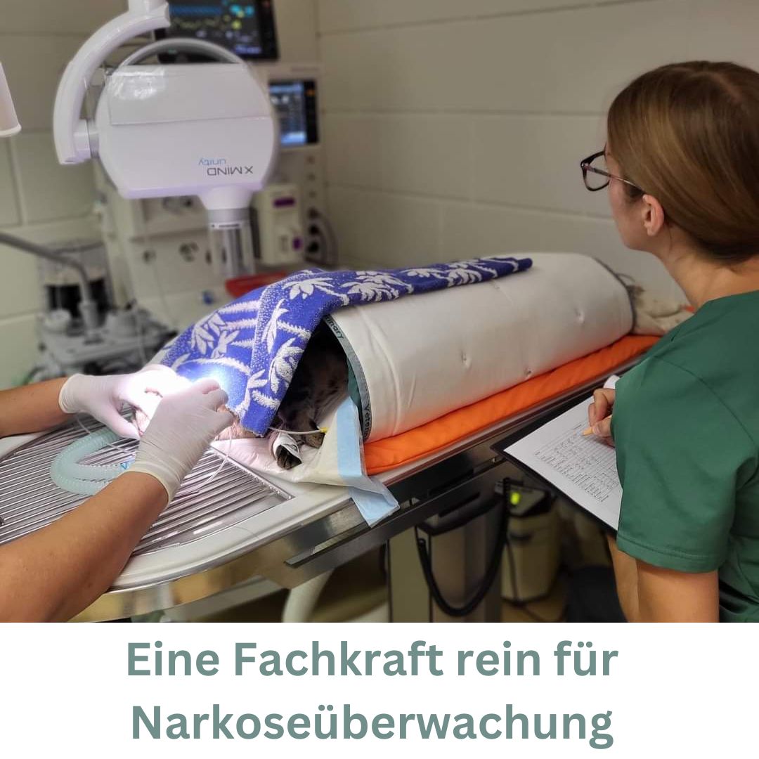Fachkraft nur Narkose