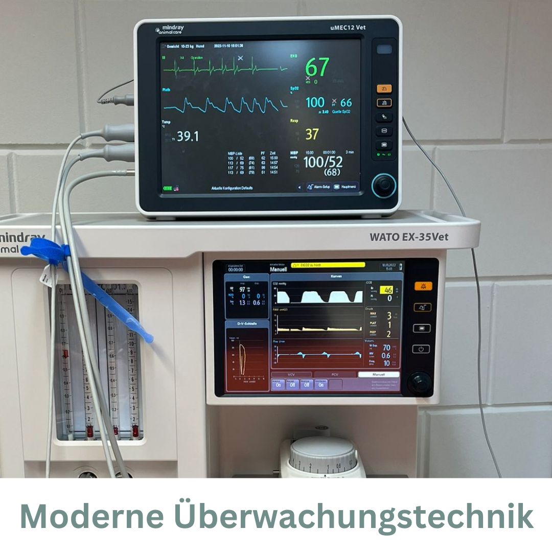 Moderne Narkoseüberwachung