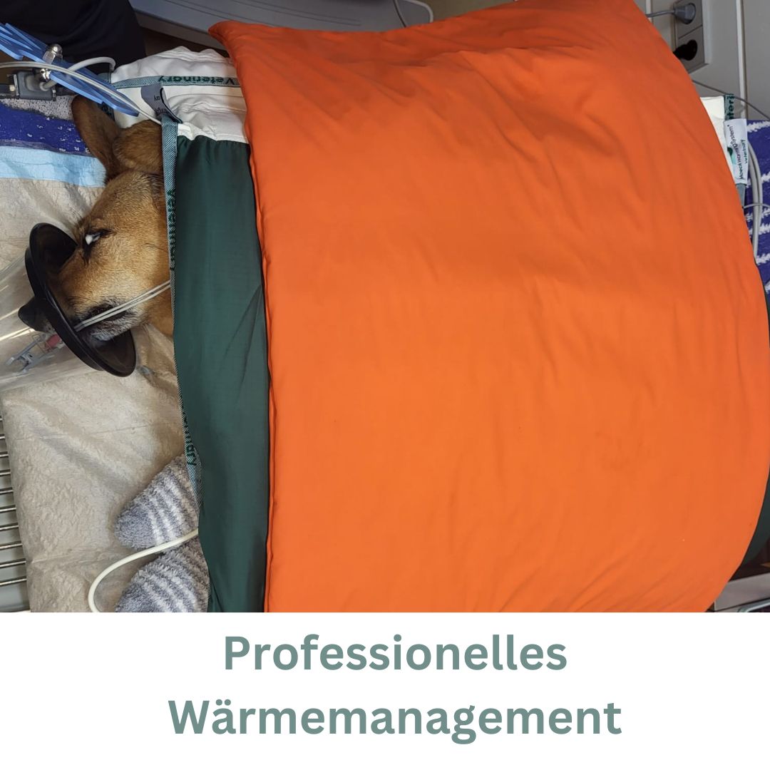 Wärmemanagement in Narkose
