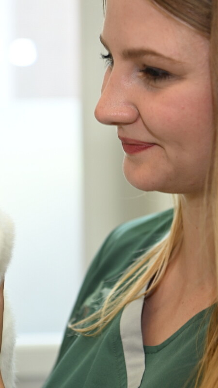 Tierarzt Notdienst Karlsruhe